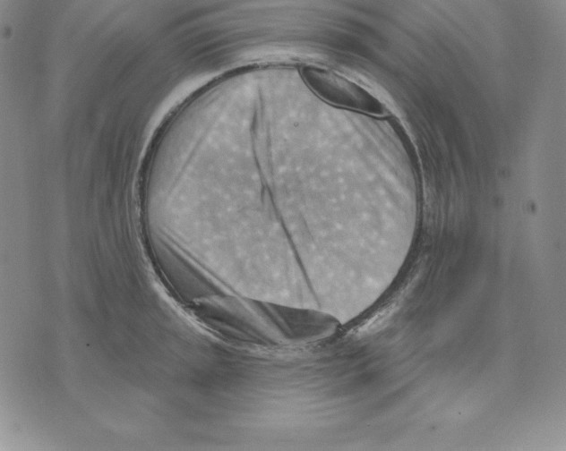 X0000075831045200610151515