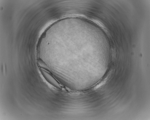 X0000075831046200610151515