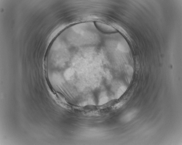 X0000075831047200610151515