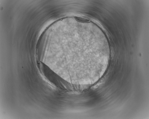 X0000075831048200610151515