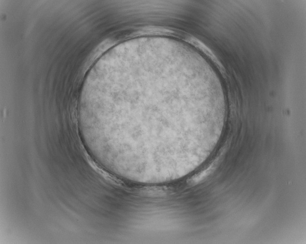 X0000075831049200610151515