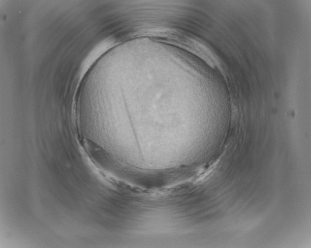 X0000075831050200610151515