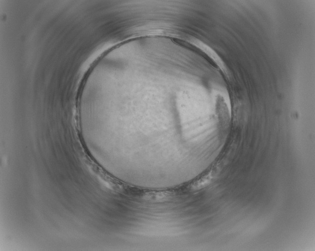 X0000075831051200610151515