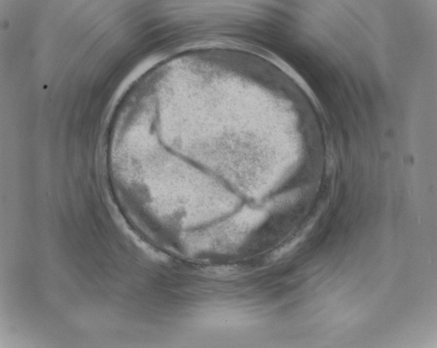 X0000075831053200610151515