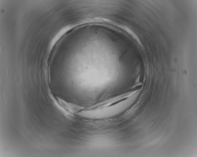 X0000075831054200610151515