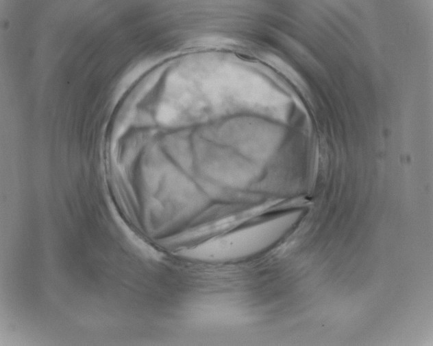 X0000075831055200610151515