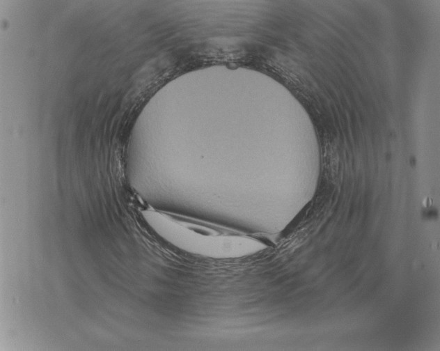 X0000075831058200610151514