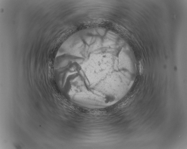 X0000075831059200610151514