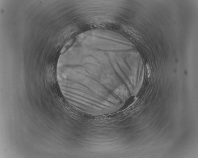 X0000075831060200610151514