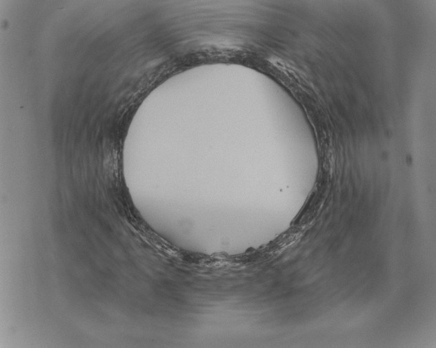 X0000075831061200610151514