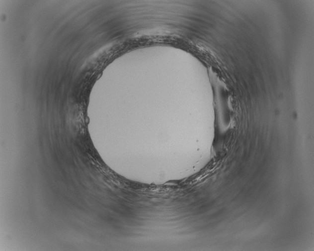 X0000075831062200610151514