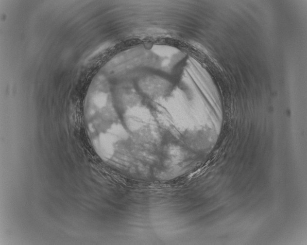 X0000075831063200610151514