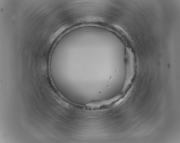 X0000075831065200610151514