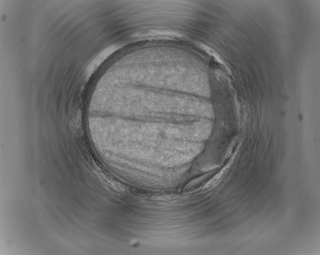 X0000075831066200610151514