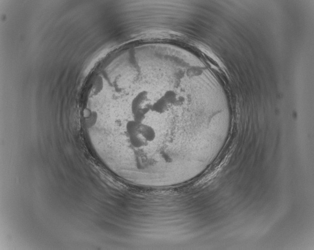 X0000075831067200610151514