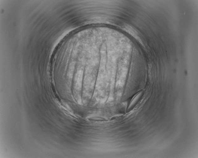 X0000075831068200610151514