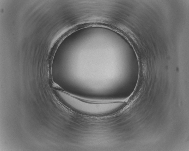 X0000075831069200610151514