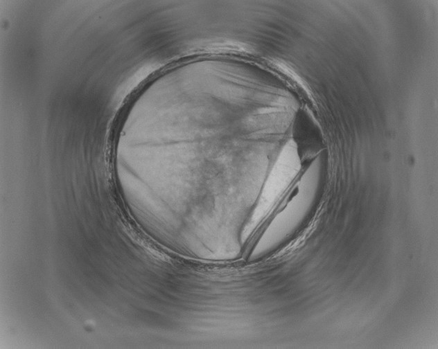 X0000075831071200610151514