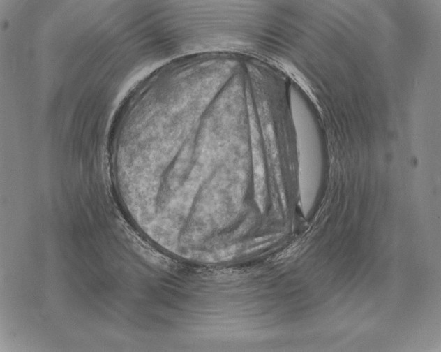 X0000075831072200610151514