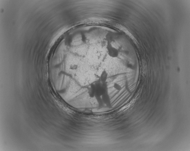 X0000075831075200610151514