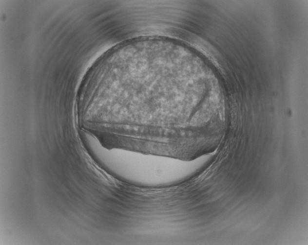 X0000075831076200610151514