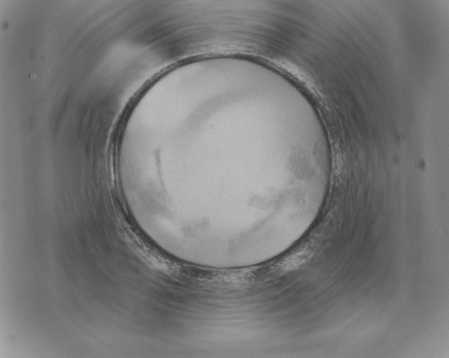 X0000075831078200610151514