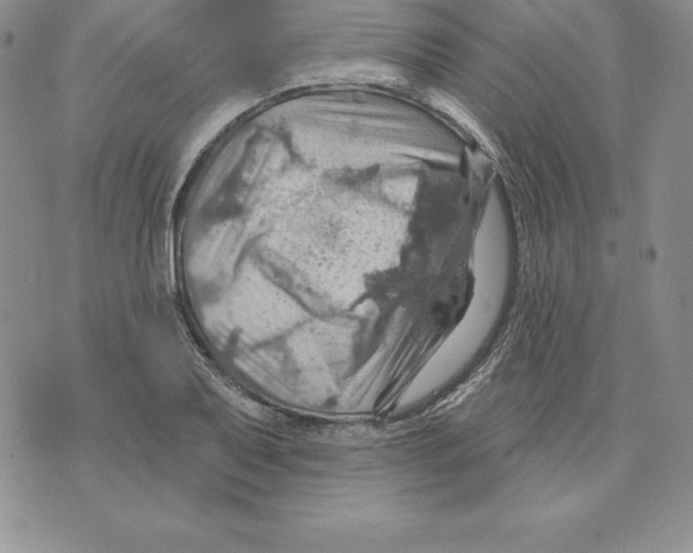 X0000075831079200610151514