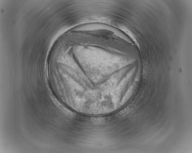 X0000075831080200610151514