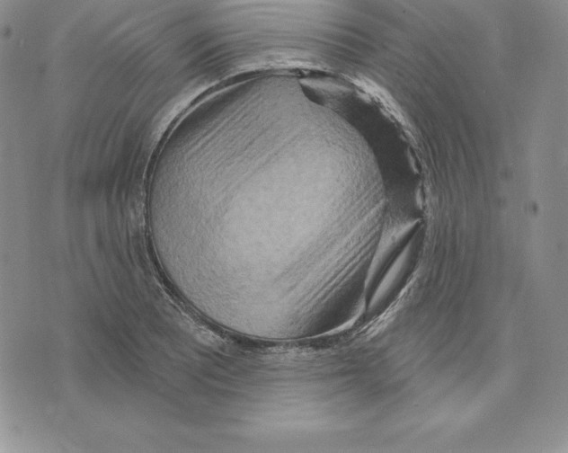 X0000075831081200610151514