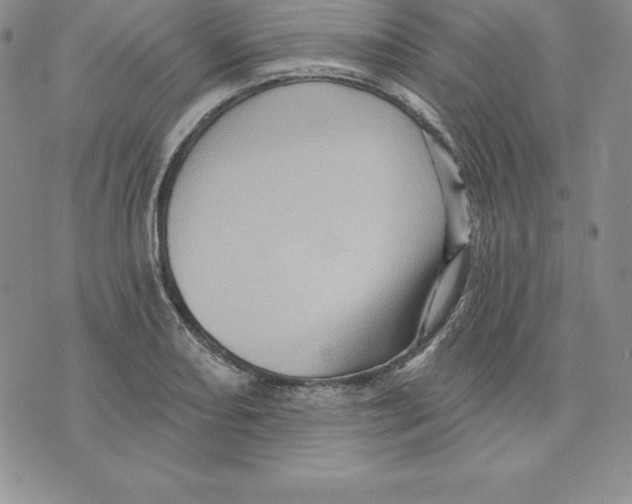 X0000075831082200610151514