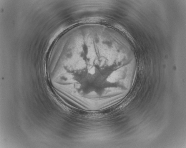 X0000075831083200610151514