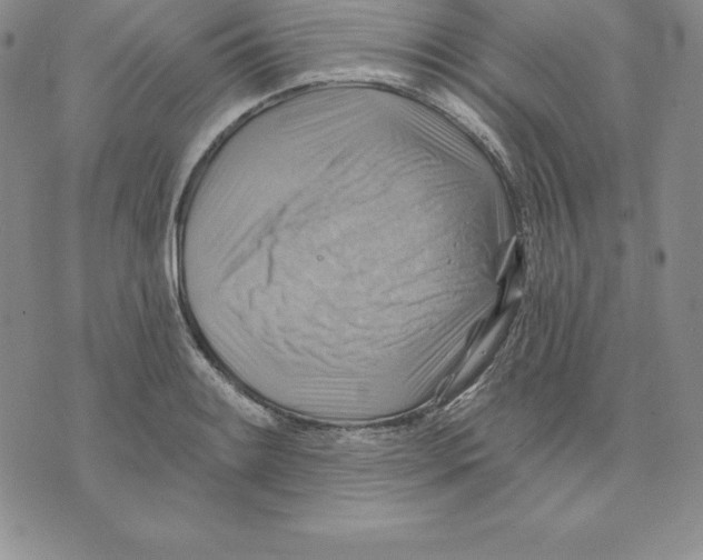 X0000075831084200610151514