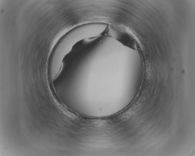 X0000075831085200610151514