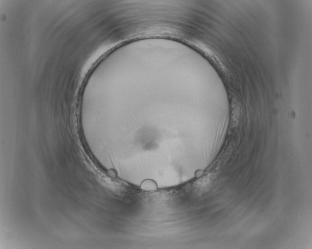 X0000075831086200610151514