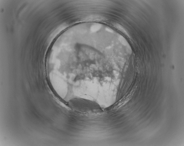 X0000075831087200610151514