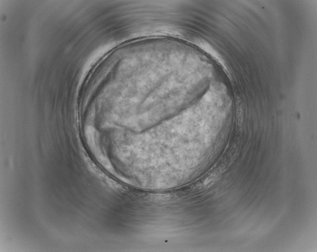 X0000075831088200610151514