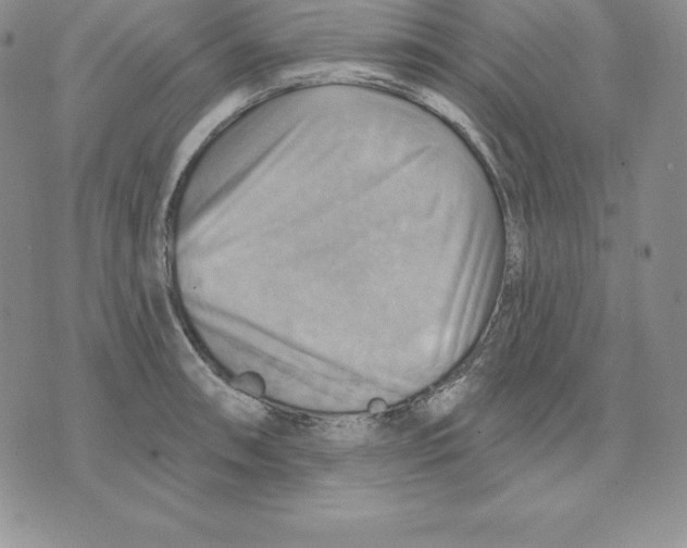 X0000075831090200610151514