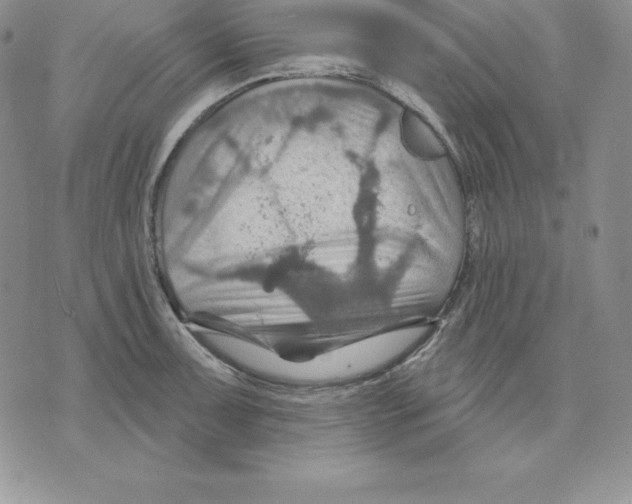 X0000075831091200610151514