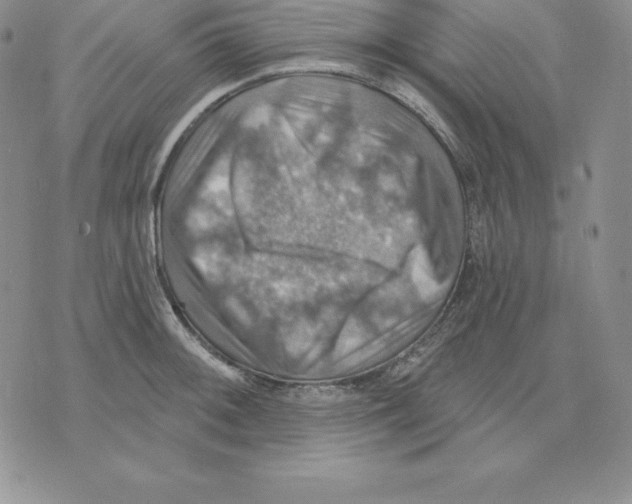 X0000075831092200610151514