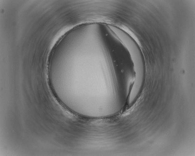 X0000075831093200610151514