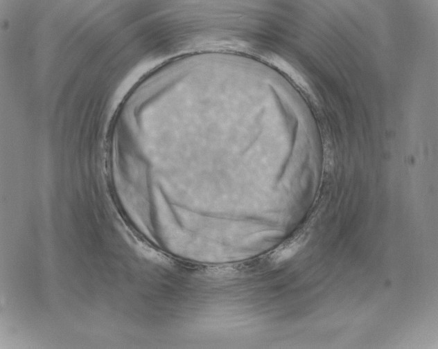 X0000075831094200610151514