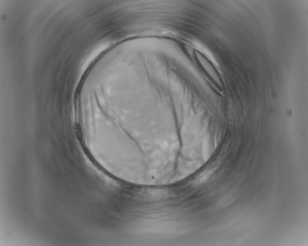 X0000075831095200610151514