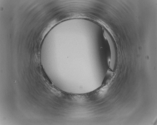 X0000075831097200610151514