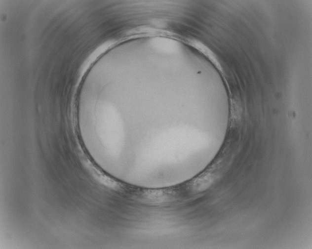 X0000075831098200610151514