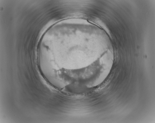 X0000075831099200610151514