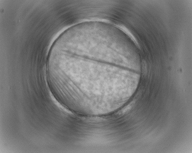 X0000075831100200610151514