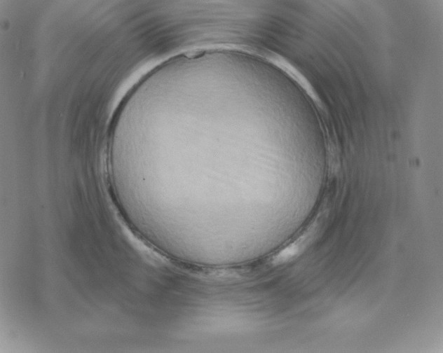 X0000075831101200610151514