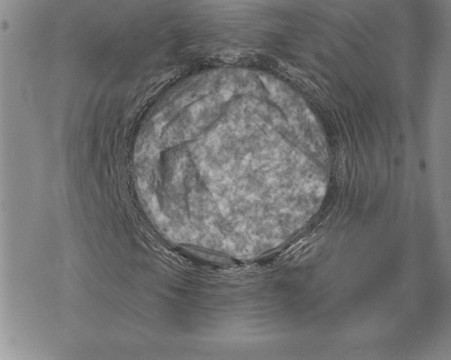 X0000075831105200610151513