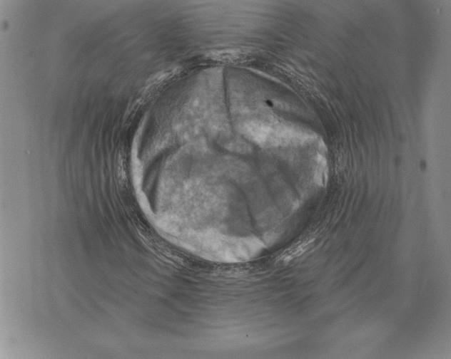 X0000075831106200610151513