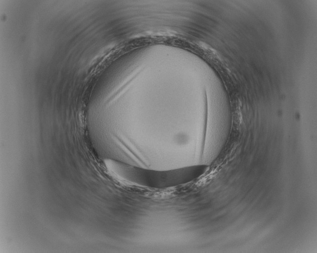 X0000075831110200610151513